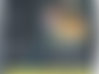 Quel est l’oiseau idéal pour l’élevage et les Expositions