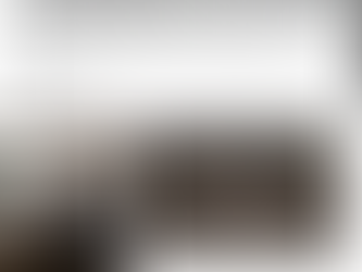 LOCATAIRES CLANDESTINS