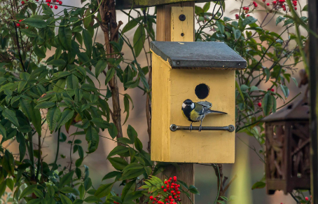 L’hiver, une saison difficile pour nos oiseaux de la Faune sauvage.