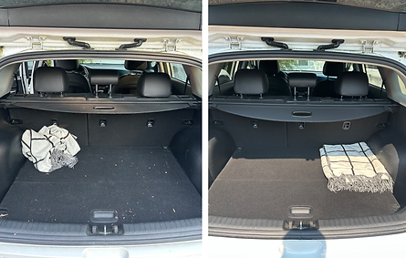 Pet Hair Removal Salt Spring Island car detailing