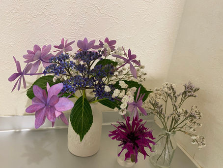 お花いただきました。