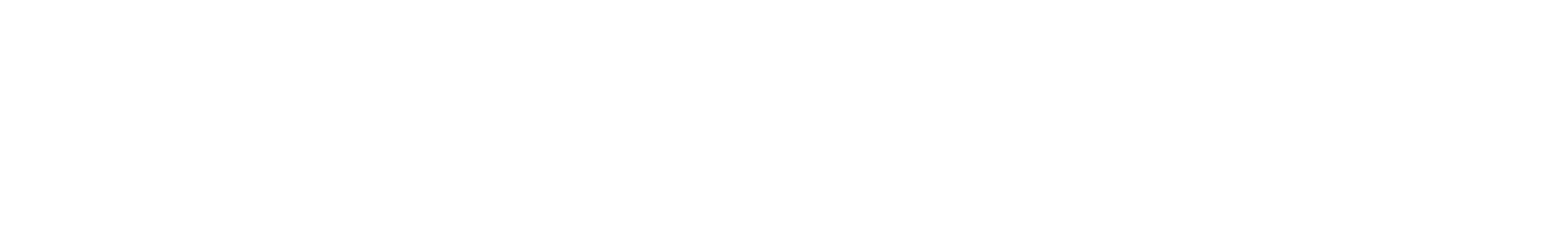 Synergy_Primary_Logo_ReverseWhite_RGB.png