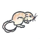 rat 1.jpeg