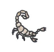scorpion.jpeg