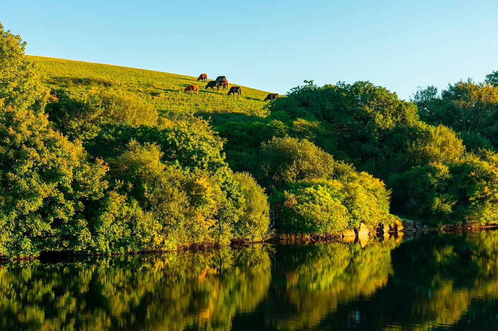 E48D4846-3BEE-403E-B3AC-0E60C750EB74