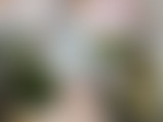 お便り　お迎え　🐣💦