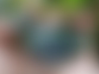 今日も雛だけ🐣💦