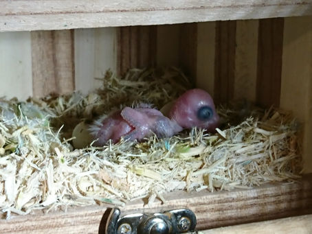 みんなの調子...