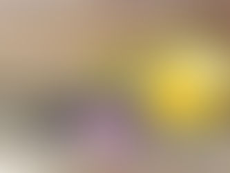 巣上げと孵化予定🐣