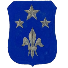 Facts About the 351st Infantry