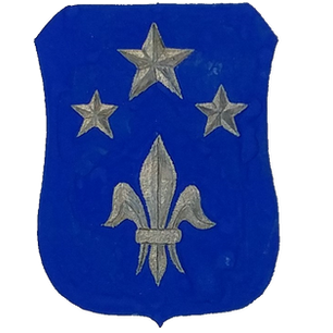 Facts About the 351st Infantry