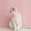 Thumbnail: Pet Accessories - Pastel Birthday Hat and Bow (P17)