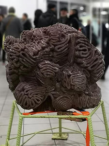 46494450_10216609732068420_8683976766416