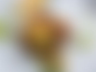 Gluten Free Grilled Fish (Mahi Mahi) with Mango Salsa Recipe