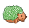 chia.png