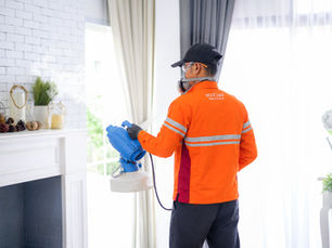 Biaya Pest Control Rumah