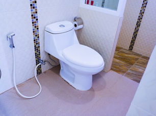 Jenis Bakteri Toilet