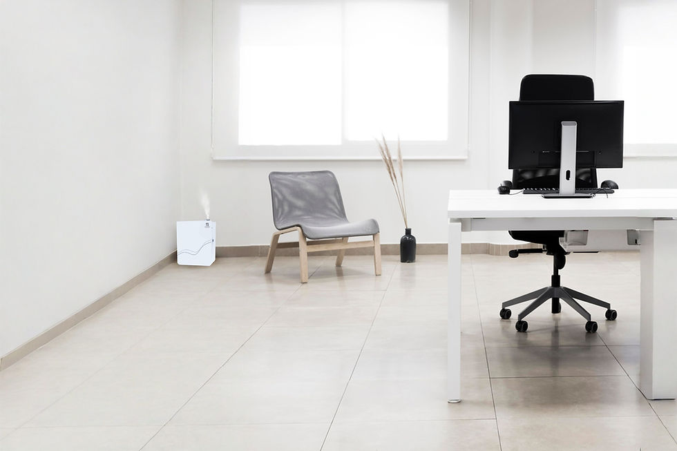 Harga Pengharum Ruangan ecoCare Hygiene