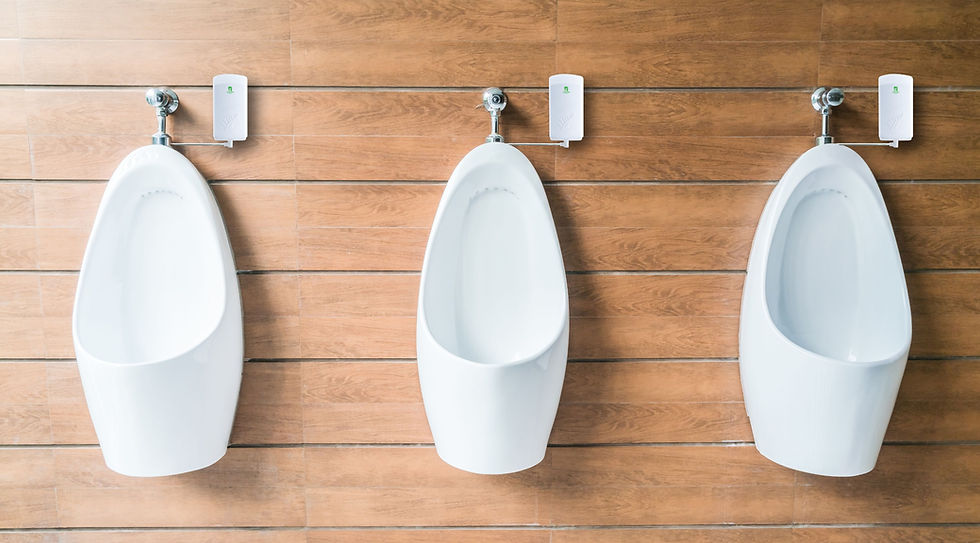 ecoCare Sanitizer