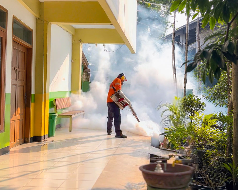 Jasa Fogging Nyamuk di Lingkungan Sekolah
