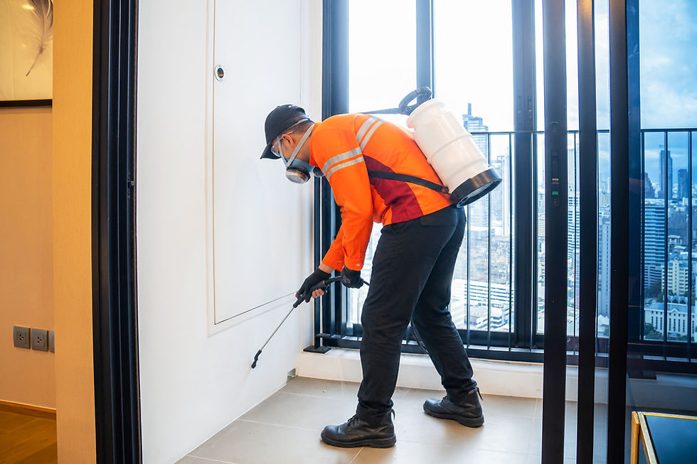 Pest Control Apartemen