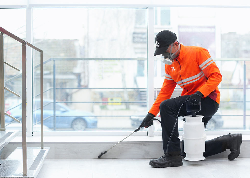 Pest Control Bali