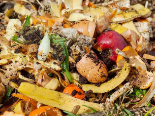Sampah Makanan Bisa Mulai Mengeluarkan Bau
