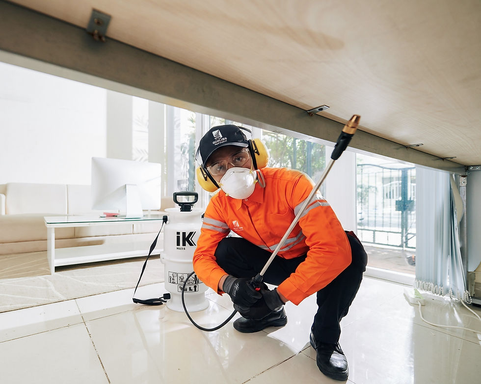 Jasa Pest Control Jakarta Utara