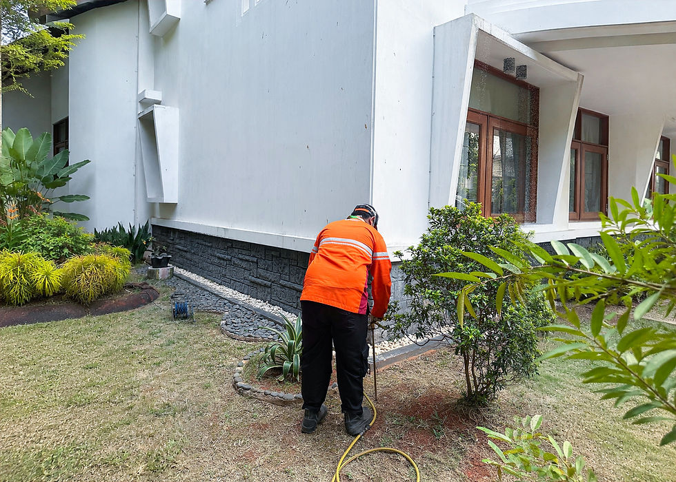 Perbedaan Rayap dan Laron