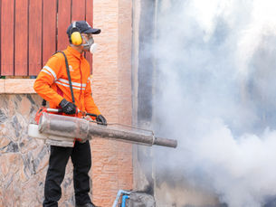 Treatment Pest Control untuk Rumah