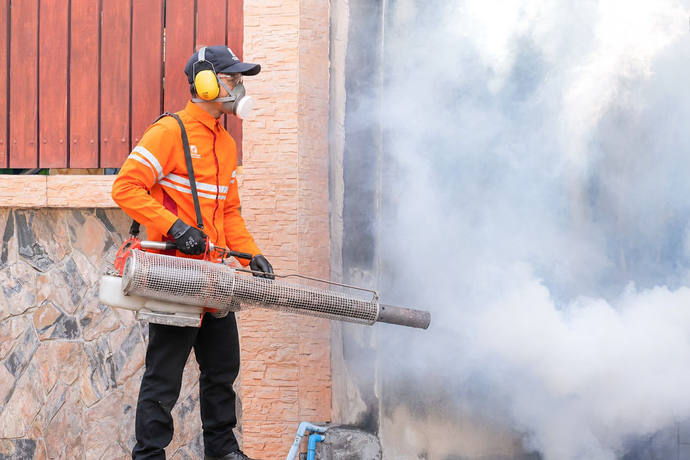 Treatment Pest Control untuk Rumah