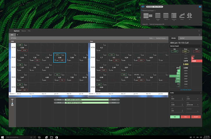 Programmatic trading - options.png