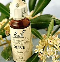 produto_florais_de_bach.png