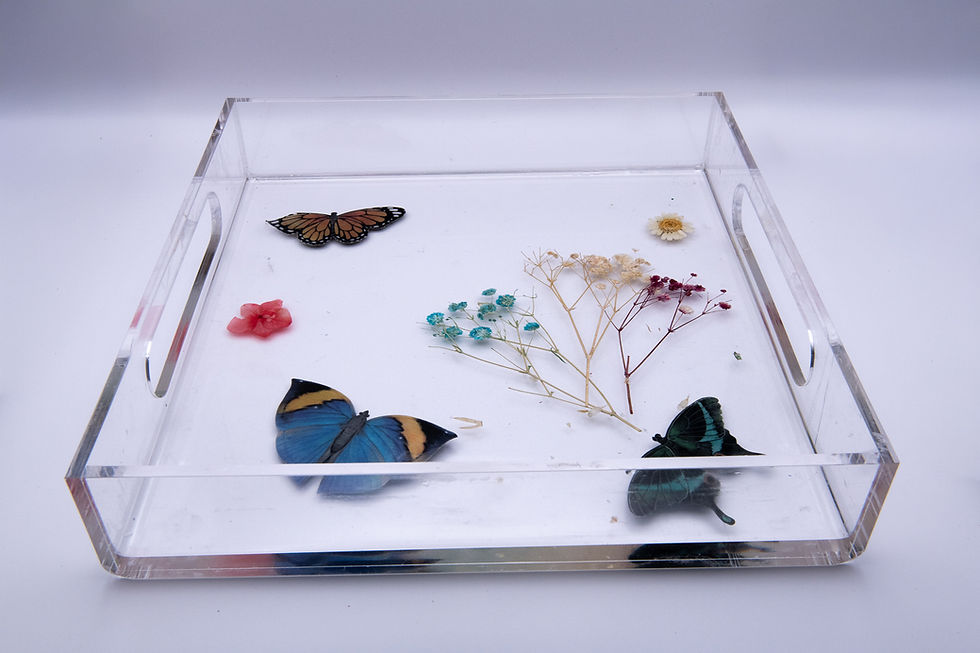 Thumbnail: Butterfly Garden Tray