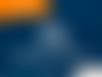 EMPRESAS FACTURADORAS DE OPERACIONES SIMULADAS (EFOS)