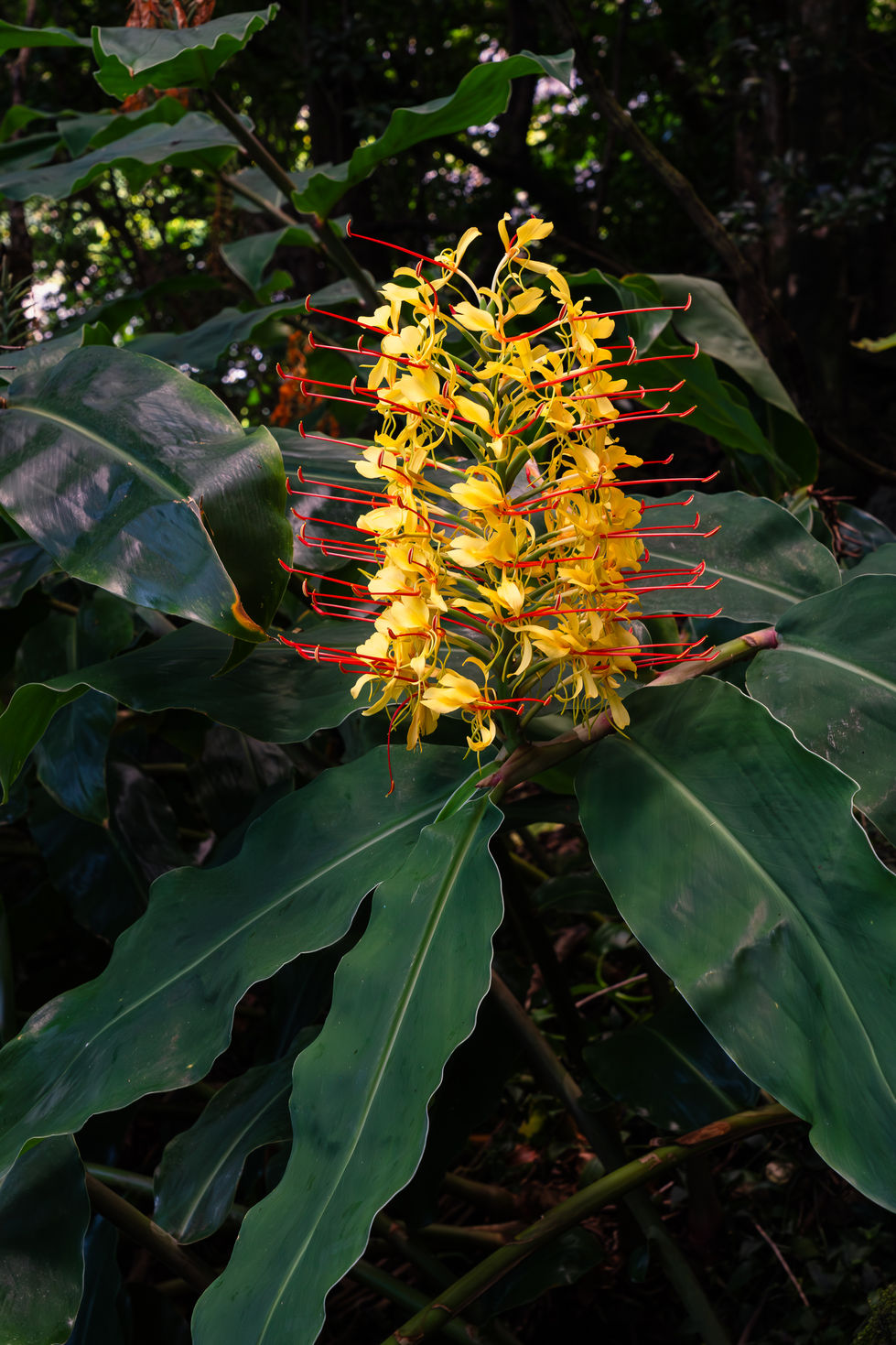 A7R09891-Enhanced-NR