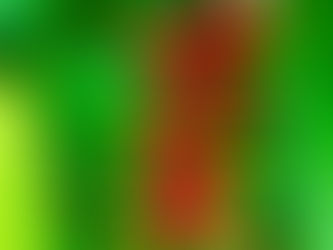 Back to the tropics -Part 1 of 5: Where it all started...and why you need gingers in your life