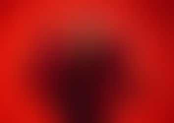 FLAMENCO WITH VENEZUELAN FLAVOR