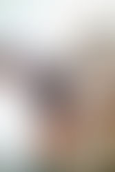 9/11 A LESSON FROM HISTORY