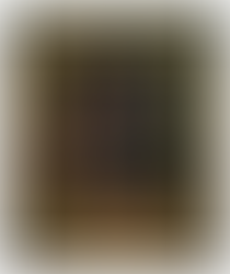 DOMINICAN CELEBRATIONS IN NEW YORK