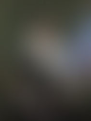 CELEBRATING TERESA CARREÑO IN NEW YORK