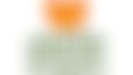 BODEGAS UNIDAS DE AMERICA presenta “Operación Rescate TSA” para apoyar a los trabajadores de TSA sin pago de su salario