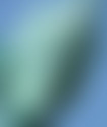 Cuando evocamos a los Estados Unidos de América, inmediatamente viene a nuestra mente una imagen: “La Estatua de la Libertad”, que desde su levantamiento es, -junto a la bandera y al himno nacional-, uno de los símbolos que identifican a esta nación en el mundo.