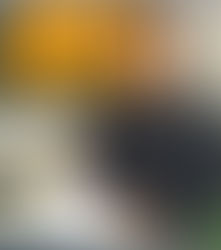 NÉSTOR CORTÉS A STAR SHINING IN MANHATTAN