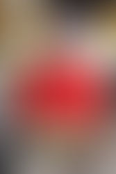 MARIO CASTILLO, SURFING WAVES OF FLAVOR