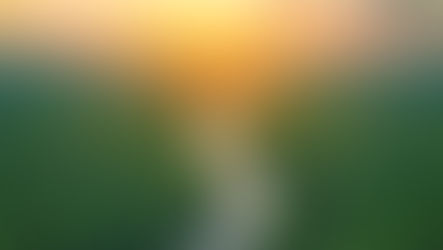 Día de la Amazonía