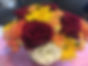 38E87330-BBDB-4FBC-91A2-8CA3CB80A86B.jpeg