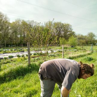 association ferme paysan permaculture