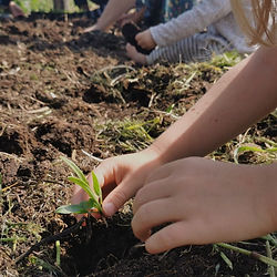 planter avec les enfants