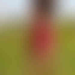 association ferme paysan permaculture